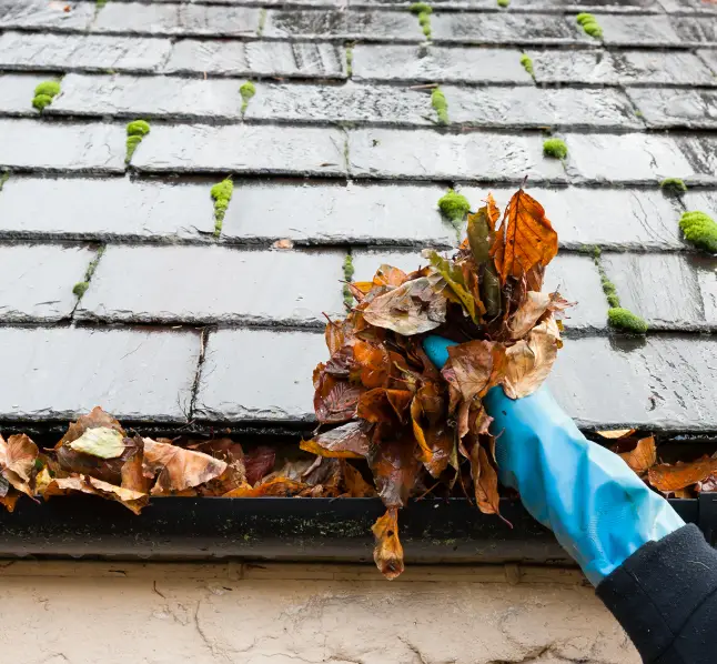 Gutter Cleaning Contractors